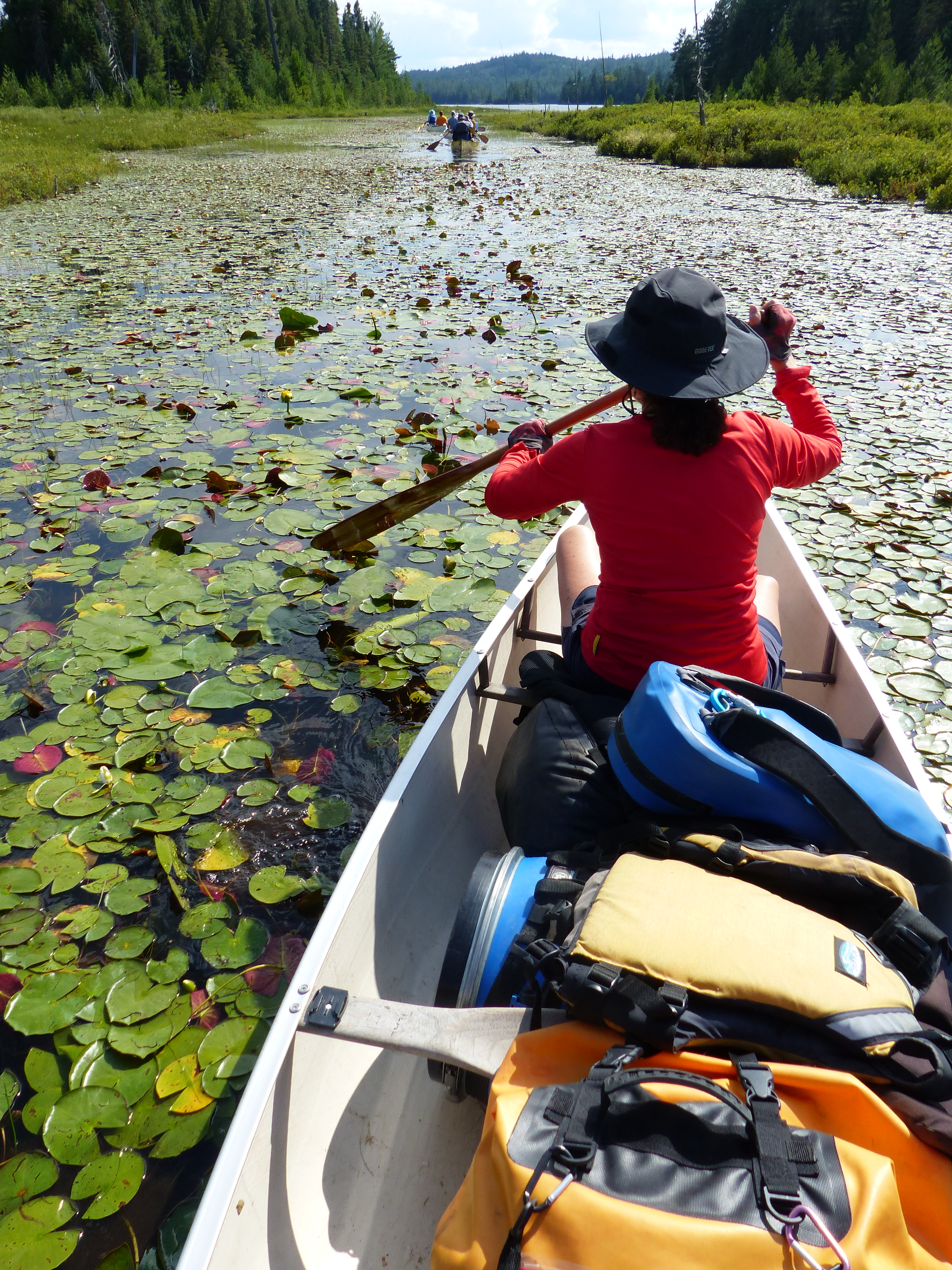 Canoeing through lily pads