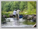 Flatwater Canoeing